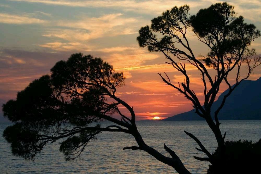 Apartmani Milka I Jozo Omiš Extérieur photo