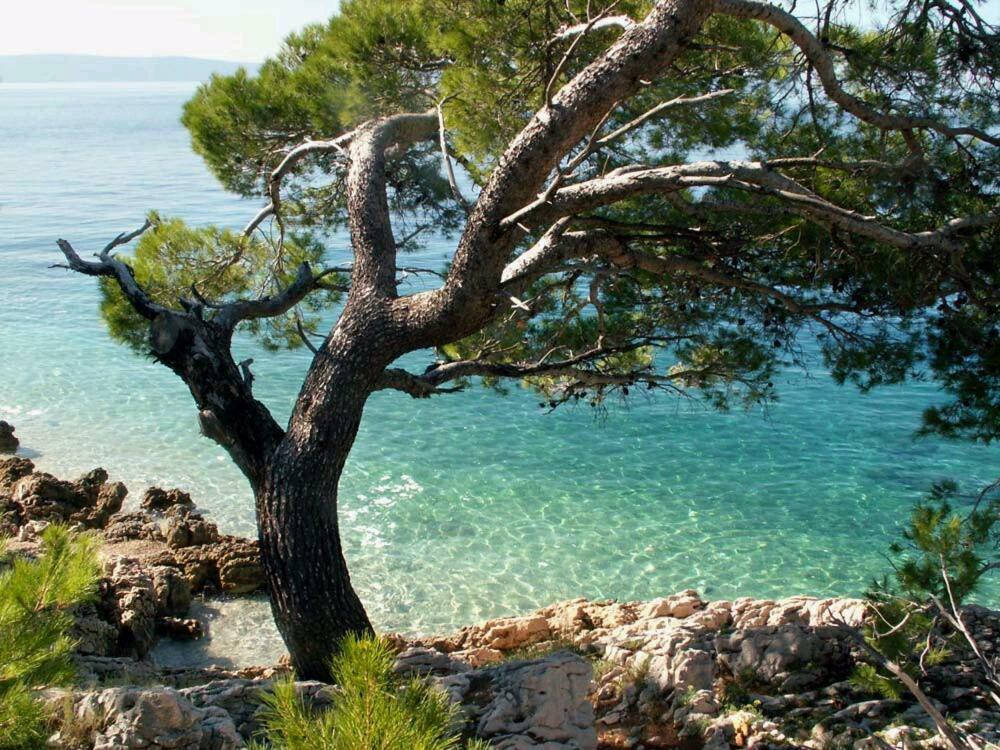Apartmani Milka I Jozo Omiš Extérieur photo
